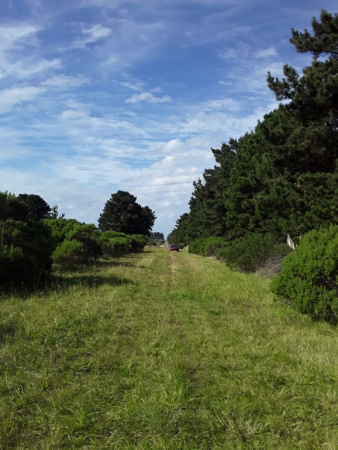 Lote en Mar del Plata