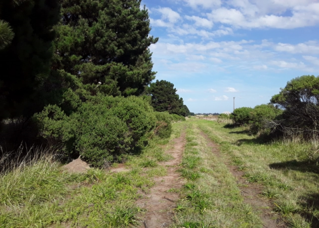 Lote en Mar del Plata