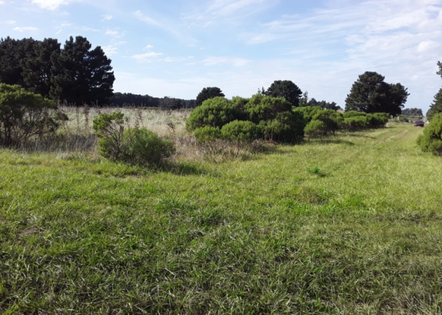 Lote en Mar del Plata